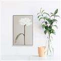 Picture of Romantic Blur Peony I _GroupedProduct_Rectangle_Portrait_Photography _GroupedProduct_Rectangle_Portrait_Canvas_Framed_