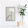 Picture of Romantic Blur Peony I _GroupedProduct_Rectangle_Portrait_Photography _GroupedProduct_Rectangle_Portrait_Canvas_Framed_