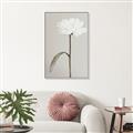 Picture of Romantic Blur Peony I _GroupedProduct_Rectangle_Portrait_Photography _GroupedProduct_Rectangle_Portrait_Canvas_Framed_