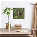 Picture of Tropical Paradise Toucan Bird _GroupedProduct_Square_Canvas_Framed_