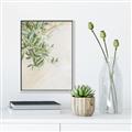 Picture of Few Olive Tree Leaves _GroupedProduct_Rectangle_Portrait_Photography _GroupedProduct_Rectangle_Portrait_Canvas_Framed_
