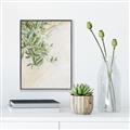 Picture of Few Olive Tree Leaves _GroupedProduct_Rectangle_Portrait_Photography _GroupedProduct_Rectangle_Portrait_Canvas_Framed_
