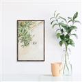 Picture of Few Olive Tree Leaves _GroupedProduct_Rectangle_Portrait_Photography _GroupedProduct_Rectangle_Portrait_Canvas_Framed_