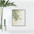 Picture of Few Olive Tree Leaves _GroupedProduct_Rectangle_Portrait_Photography _GroupedProduct_Rectangle_Portrait_Canvas_Framed_