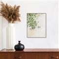 Picture of Few Olive Tree Leaves _GroupedProduct_Rectangle_Portrait_Photography _GroupedProduct_Rectangle_Portrait_Canvas_Framed_