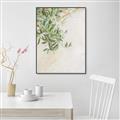 Picture of Few Olive Tree Leaves _GroupedProduct_Rectangle_Portrait_Photography _GroupedProduct_Rectangle_Portrait_Canvas_Framed_