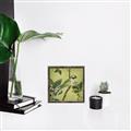 Picture of Vintage Tropical Birds I _GroupedProduct_Square_Canvas_Framed_