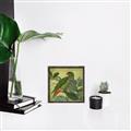 Picture of Vintage Tropical Birds II _GroupedProduct_Square_Canvas_Framed_