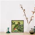 Picture of Vintage Tropical Birds II _GroupedProduct_Square_Canvas_Framed_