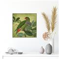 Picture of Vintage Tropical Birds II _GroupedProduct_Square_Canvas_Framed_