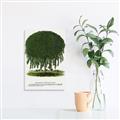 Picture of Kilmarnock Weeping Willow Tree Lithograph _GroupedProduct_Rectangle_Portrait_Unframed_Print_Only_