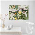 Picture of Parrots Nostalgic Journey 2 _GroupedProduct_Rectangle_Landscape_Unframed_Print_Only_