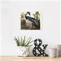 Picture of Vintage Heron Bird _GroupedProduct_Rectangle_Landscape_Unframed_Print_Only_