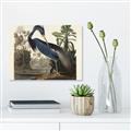 Picture of Vintage Heron Bird _GroupedProduct_Rectangle_Landscape_Unframed_Print_Only_