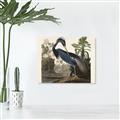 Picture of Vintage Heron Bird _GroupedProduct_Rectangle_Landscape_Unframed_Print_Only_
