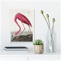 Picture of Vintage Pink Flamingo _GroupedProduct_Rectangle_Portrait_Unframed_Print_Only_