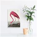 Picture of Vintage Pink Flamingo _GroupedProduct_Rectangle_Portrait_Unframed_Print_Only_