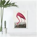 Picture of Vintage Pink Flamingo _GroupedProduct_Rectangle_Portrait_Unframed_Print_Only_