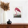 Picture of Vintage Pink Flamingo _GroupedProduct_Rectangle_Portrait_Unframed_Print_Only_