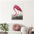 Picture of Vintage Pink Flamingo _GroupedProduct_Rectangle_Portrait_Unframed_Print_Only_