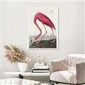 Picture of Vintage Pink Flamingo _GroupedProduct_Rectangle_Portrait_Unframed_Print_Only_