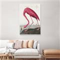 Picture of Vintage Pink Flamingo _GroupedProduct_Rectangle_Portrait_Unframed_Print_Only_