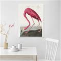 Picture of Vintage Pink Flamingo _GroupedProduct_Rectangle_Portrait_Unframed_Print_Only_