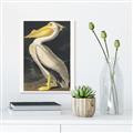 Picture of Vintage White Pelican _GroupedProduct_Rectangle_Portrait_Unframed_Print_Only_