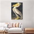 Picture of Vintage White Pelican _GroupedProduct_Rectangle_Portrait_Unframed_Print_Only_