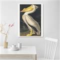 Picture of Vintage White Pelican _GroupedProduct_Rectangle_Portrait_Unframed_Print_Only_