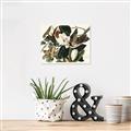 Picture of Black Billed Cuckoo Bird _GroupedProduct_Rectangle_Landscape_Unframed_Print_Only_