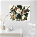 Picture of Black Billed Cuckoo Bird _GroupedProduct_Rectangle_Landscape_Unframed_Print_Only_