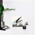 Picture of Black Skimmer From Birds of America (1827) _GroupedProduct_Square_Unframed_Print_Only_