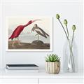 Picture of Vintage Scarlet Ibis Bird _GroupedProduct_Rectangle_Landscape_Unframed_Print_Only_