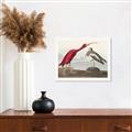 Picture of Vintage Scarlet Ibis Bird _GroupedProduct_Rectangle_Landscape_Unframed_Print_Only_