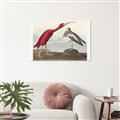 Picture of Vintage Scarlet Ibis Bird _GroupedProduct_Rectangle_Landscape_Unframed_Print_Only_