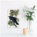 Picture of Raven From Birds of America (1827) _GroupedProduct_Rectangle_Portrait_Unframed_Print_Only_