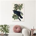 Picture of Raven From Birds of America (1827) _GroupedProduct_Rectangle_Portrait_Unframed_Print_Only_