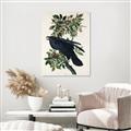 Picture of Raven From Birds of America (1827) _GroupedProduct_Rectangle_Portrait_Unframed_Print_Only_