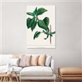 Picture of Nostalgic Green Lilac Leaves _GroupedProduct_Rectangle_Portrait_Unframed_Print_Only_