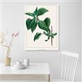 Picture of Nostalgic Green Lilac Leaves _GroupedProduct_Rectangle_Portrait_Unframed_Print_Only_