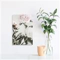 Picture of Romantic Blur Peony V _GroupedProduct_Rectangle_Portrait_Photography _GroupedProduct_Rectangle_Portrait_Unframed_Print_Only_