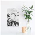 Picture of Romantic Blur Peony V _GroupedProduct_Rectangle_Portrait_Photography _GroupedProduct_Rectangle_Portrait_Unframed_Print_Only_
