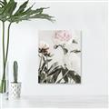 Picture of Romantic Blur Peony V _GroupedProduct_Rectangle_Portrait_Photography _GroupedProduct_Rectangle_Portrait_Unframed_Print_Only_