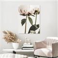Picture of Romantic Blur Peony IV _GroupedProduct_Rectangle_Portrait_Photography _GroupedProduct_Rectangle_Portrait_Unframed_Print_Only_