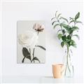 Picture of Romantic Blur Peony III _GroupedProduct_Rectangle_Portrait_Photography _GroupedProduct_Rectangle_Portrait_Unframed_Print_Only_