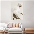 Picture of Romantic Blur Peony III _GroupedProduct_Rectangle_Portrait_Photography _GroupedProduct_Rectangle_Portrait_Unframed_Print_Only_