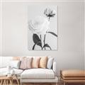 Picture of Romantic Blur Peony III _GroupedProduct_Rectangle_Portrait_Photography _GroupedProduct_Rectangle_Portrait_Unframed_Print_Only_