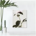 Picture of Romantic Blur Peony II _GroupedProduct_Rectangle_Portrait_Photography _GroupedProduct_Rectangle_Portrait_Unframed_Print_Only_