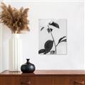 Picture of Romantic Blur Peony II _GroupedProduct_Rectangle_Portrait_Photography _GroupedProduct_Rectangle_Portrait_Unframed_Print_Only_